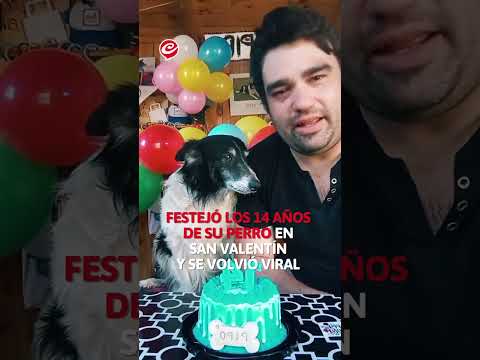 Festejó los 14 años de su perro en San Valentín y se volvió viral