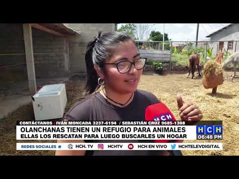 ¡Positivo! Dos mujeres crearon un refugio para animales en Juticalpa, Olancho