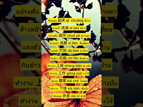 ภาษาจีนวันละคำstudythaiภาษาไ