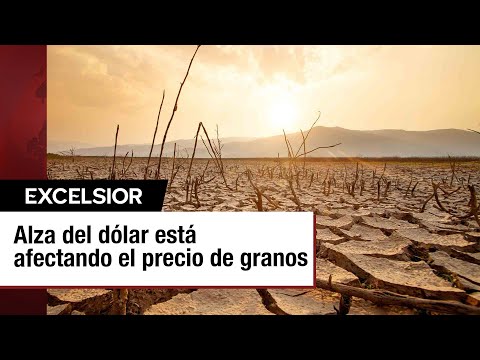 Impacto de la sequía y el Alza del Dólar en la Producción Agrícola