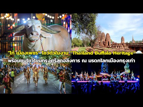 เที่ยวงาน“ThailandBuffaloHe