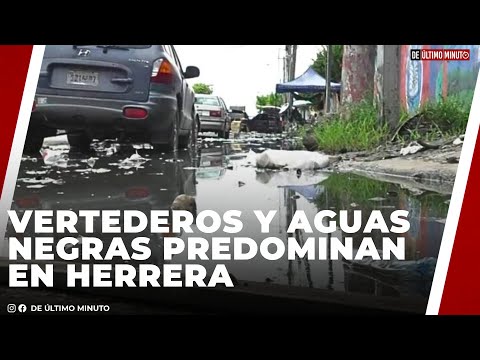 VERTEDEROS IMPROVISADOS Y CÚMULO DE AGUAS NEGRAS PREDOMINAN EN SECTOR HERRERA