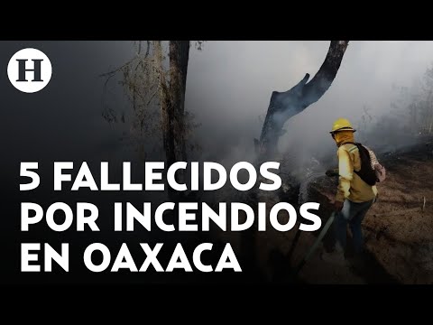 Localizan cuerpos de los 5 comuneros desaparecidos durante incendios forestales en Oaxaca