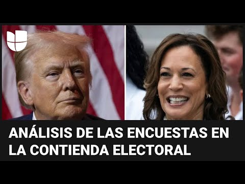 Trump y Harris están empatados en intención de voto, según encuestas: ¿hasta cuándo seguirá así?