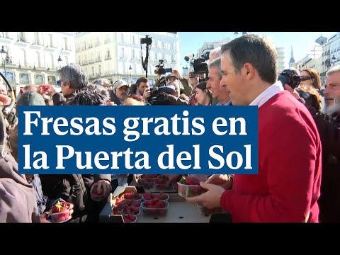 Fresas gratis en la Puerta del Sol para potenciar su consumo tras la alerta sanitaria de Marruecos