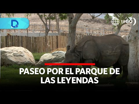 Paseo por el Parque de las Leyendas | Domingo al Día | Perú