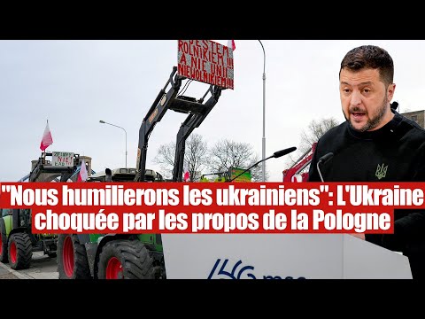 Nous humilierons les ukrainiens. La Pologne choque le régime de l'Ukraine