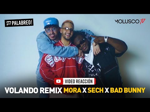 Volando remix MORA + SECH+ BAD BUNNY #VideoReaccion #ElPalabreo