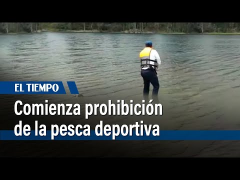 Inicia la prohibición de la pesca deportiva en Cundinamarca | El Tiempo