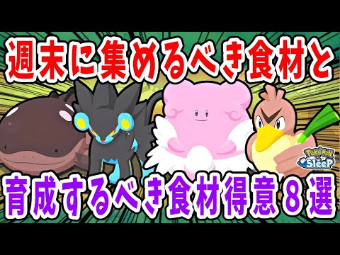 どのレシピタイプにも対応可能になる週末食材備蓄の極意と育成するべき食材得意を紹介、解説【ポケモンスリープ】