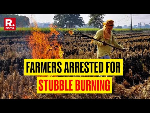 Breaking News: 14 Farmers Arrested in Haryana's Kaithal for Stubble-Burning