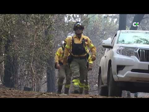 Continúan las labores en el incendio forestal de Tenerife