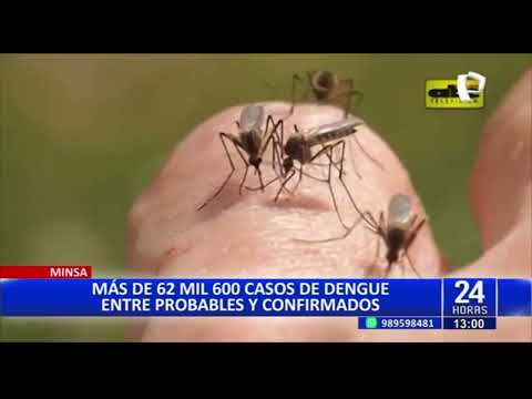 Dengue en el Perú: Minsa reporta más de 62 mil casos entre probables y confirmados