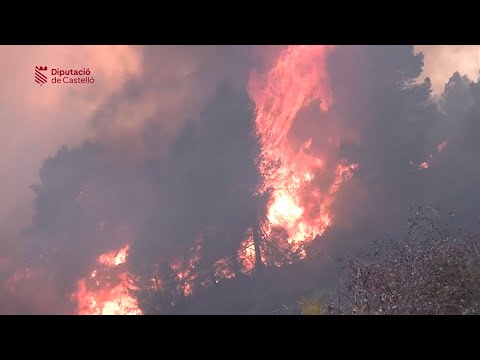 El fuego quema hasta ahora unas mil hectáreas en las provincias de Teruel y Castellón