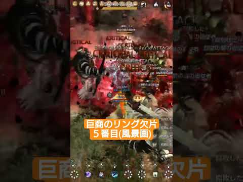 【黒い砂漠CS】巨商のリング欠片５番目入手場所
