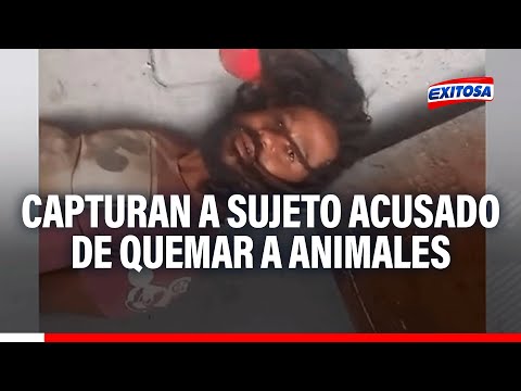 ¡Terrible! Venezolano es acusado de quemar y abusar sexualmente de perros y gatos