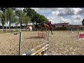 Cheval de CSO ervaren springpaard te koop
