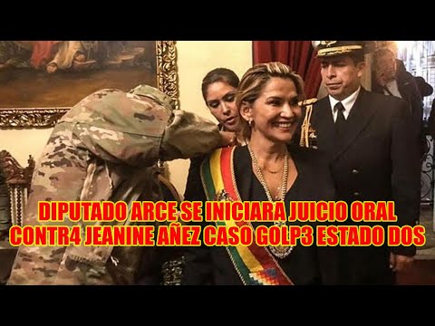 JEANINE AÑEZ SERÀ PROC3SADA POR ASUMIR LA PRESIDENCIA DE MANERA ILEGAL..