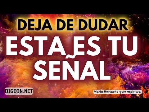 MENSAJE DE LOS ÁNGELES PARA TI -DIGEON- NO DUDES MÁS- Arcángel Miguel -Ens VERTI