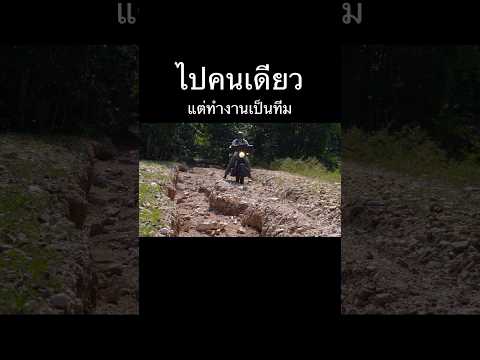 shortvideoshortsละวางทางเที