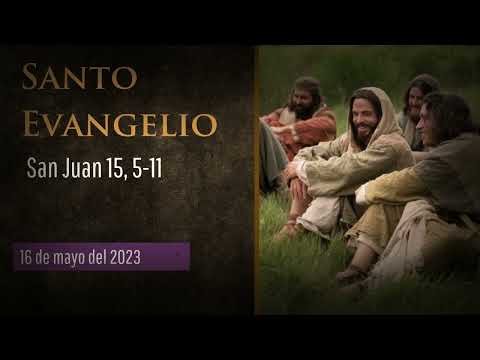 Evangelio del 16 de mayo del 2023 según san Juan 16, 5-11