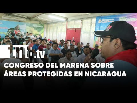 Águila arpía y especies exóticas en el Caribe de Nicaragua: Crecen áreas protegidas