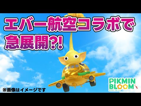 えっ？まさかの全員に配布？！ピクミンブルーム×エバー航空のコラボに急展開！【ピクミンブルーム/PikminBloom】