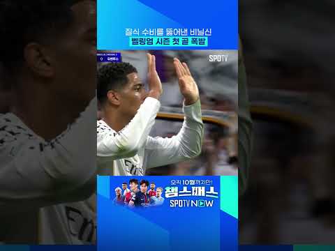 비닐신 강림 