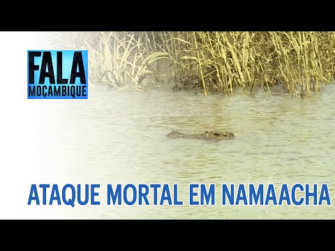 Aluno morre atacado por um crocodilo no Rio Leitão no distrito de Namaacha @PortalFM24