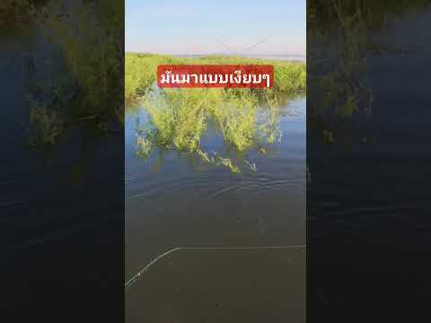 ตกใจสิครับแบบนี้เลาะซิดปลาตก