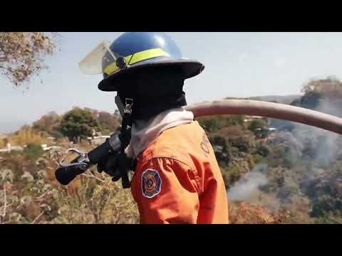 El 100% de incendios en El Salvador son por intervención humana