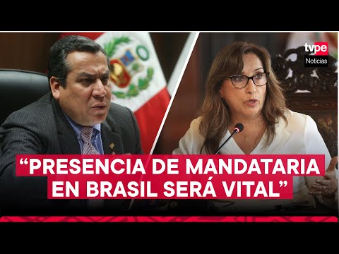 Representante del Perú ante la OEA destaca viaje de presidenta Dina Boluarte a Brasil