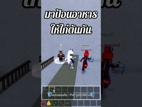 PNM TH ป้อนอาหารไก่ตันrobloxbloxfruitsyoutubetiktok