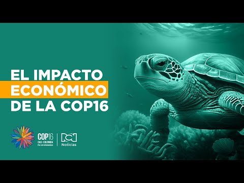 Cali ultima detalles para la COP16: se proyecta un impacto económico de 25 millones de dólares