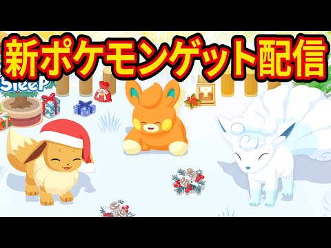 2024年最後になるかもしれないポケスリ睡眠リサーチ配信【ポケモンスリープ】【Pokémon Sleep】