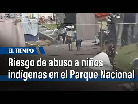 Riesgo de abuso a niños indígenas en el Parque Nacional preocupa al Concejo | El Tiempo