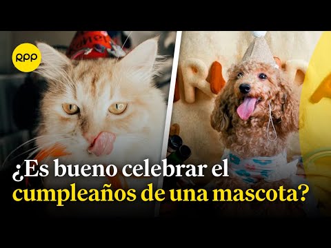 ¿Es recomendable celebrar el cumpleaños de tu mascota?