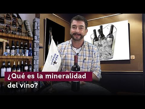 ¿Qué es la mineralidad del vino