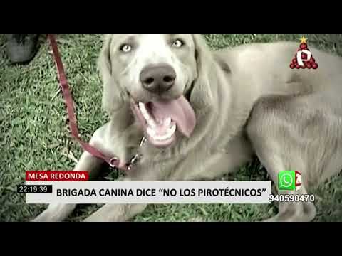 Mesa Redonda: Brigada Canina realiza show en contra de los pirotécnicos