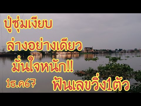 ปู่ซุ่มเงียบล่างอย่างเดียวมั่น