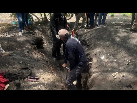 Fiscalía confirma que restos de supuesta fosa en Ciudad de México son de animales | AFP