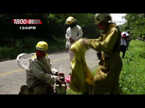 Jóvenes terminan en el hospital por ataque de abejas en La Concordia - Nicaragua