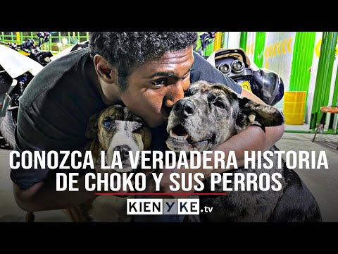 La verdadera historia de Choko y sus perros