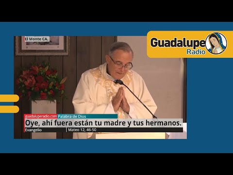 Evangelio de hoy 23/julio/2024