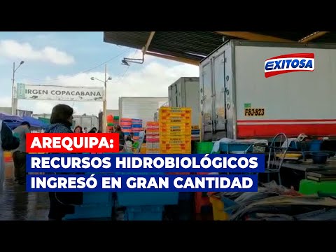 Arequipa: Recursos hidrobiológicos ingresó en gran cantidad tras liberación de la Panamericana