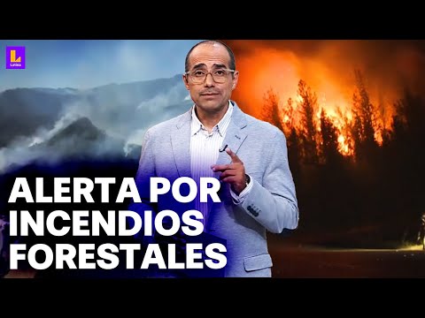 25 incendios forestales activos en Colombia: Se activan protocolos para pedir ayuda internacional