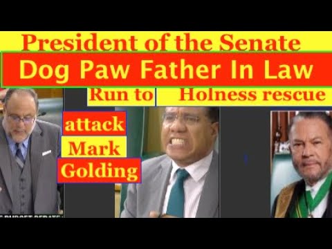 President of the Senate: Senator Dog Paw Father in Law run to Holness rescue, attack Mark Golding.
