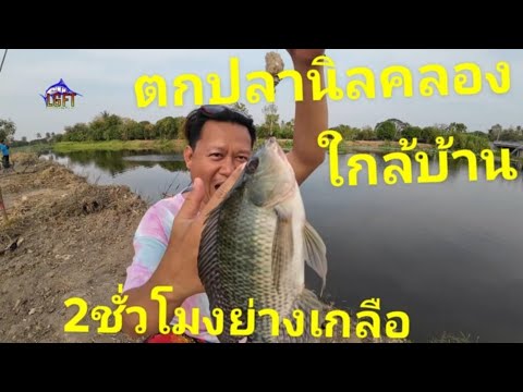 ตกปลานิลคลองใกล้บ้าน2ชั่วโมงมา