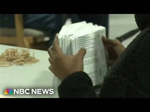 Georgia elections officials make controversial change to ballot counting