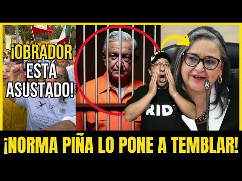 NORMA PIÑA PONE a TEBLAR a OBRADOR: ¡ESTO NO SE ESPERABAN en PALACIO NACIONAL! | Compilación #423